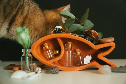 fish-shape-shelf-with-cat-in-the-background